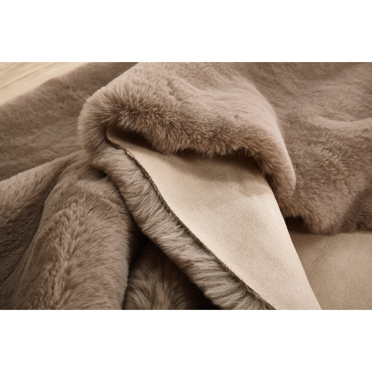 Foundry Select Solid Color Rug Wayfair Canada